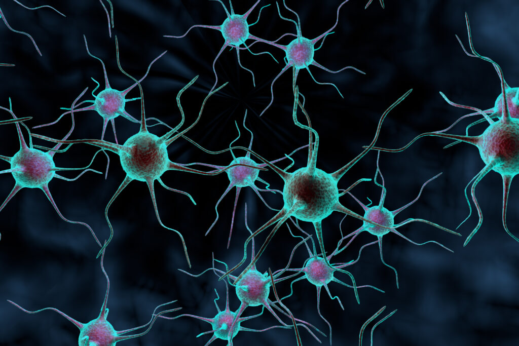 What is neuroplasticity and how does it affect middle aged people?