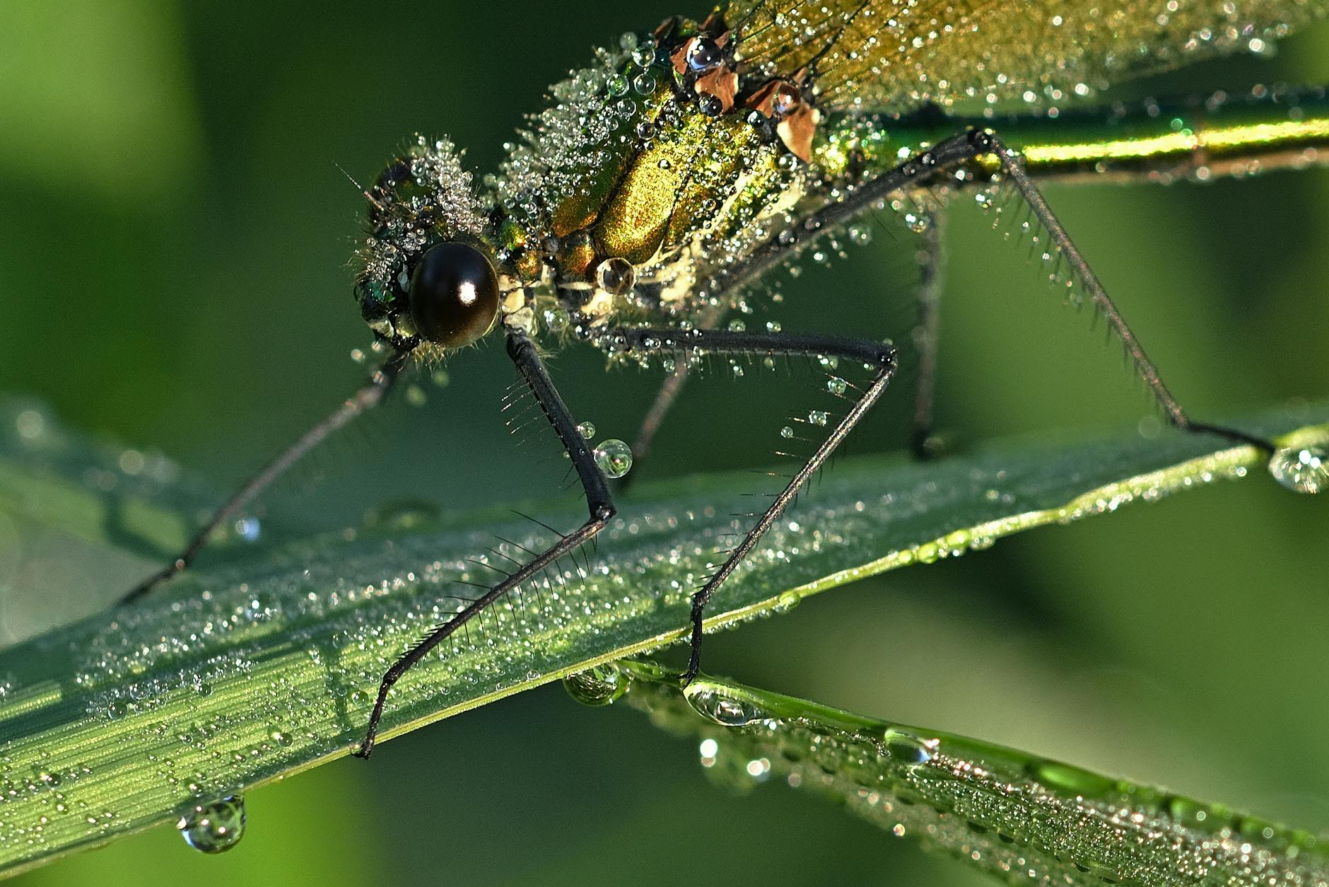 What Are the Early Warning Signs of Parkinson's Disease Symptoms?