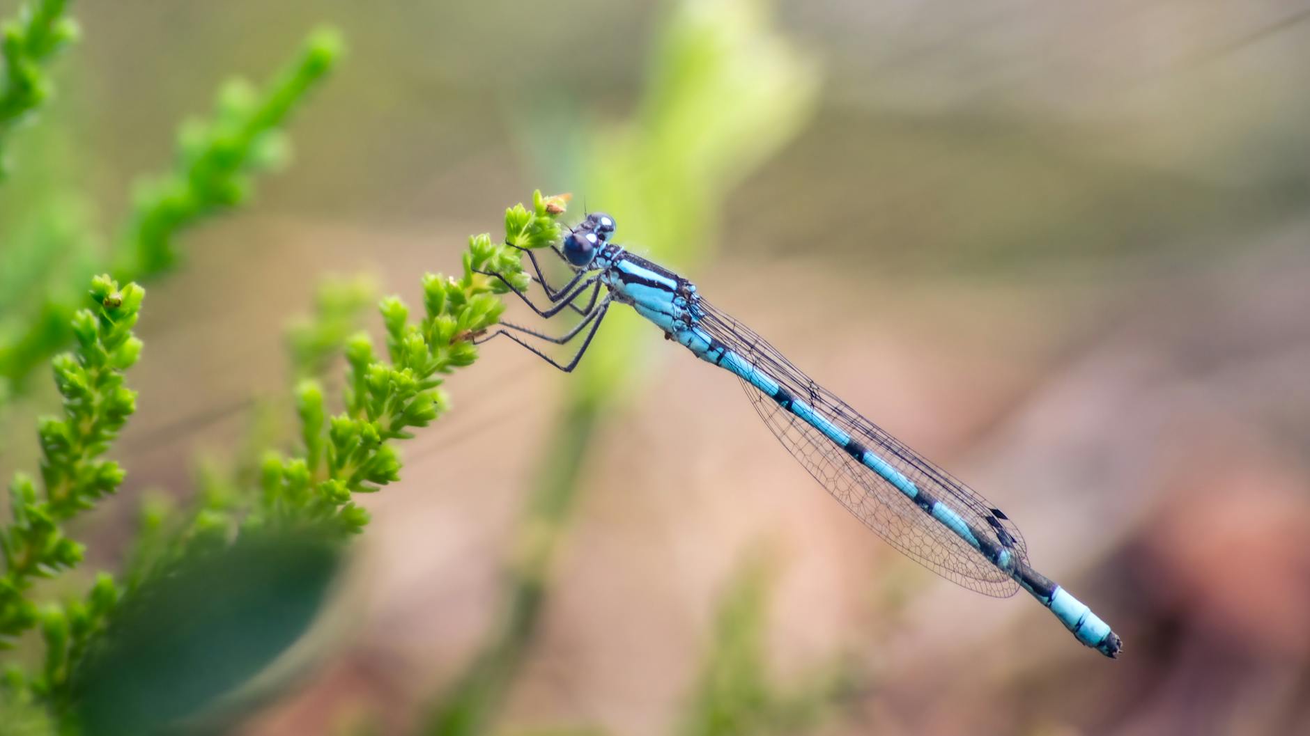 What Are the Most Common Warning Signs of a Stroke?